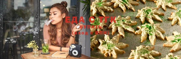 скорость Каменка